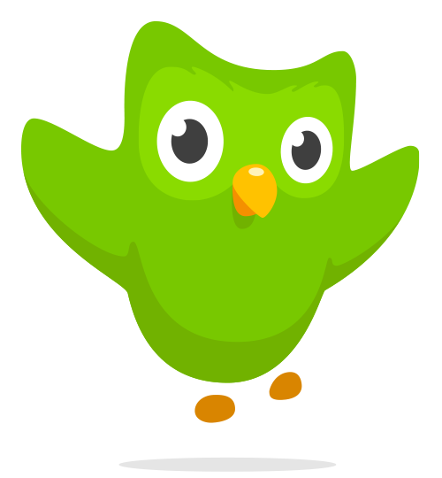 Image result for duolingo